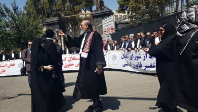 سخنان دکتر جعفر کوشا در حاشیه تجمع مدیران نهاد وکالت مقابل ساختمان شورای نگهبان